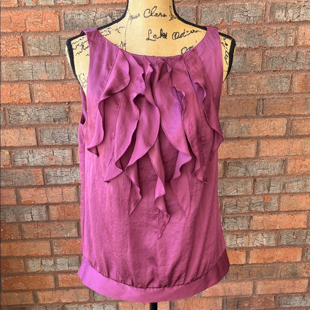 LOFT Pink/Purple Ruffle Front Blouse (M)